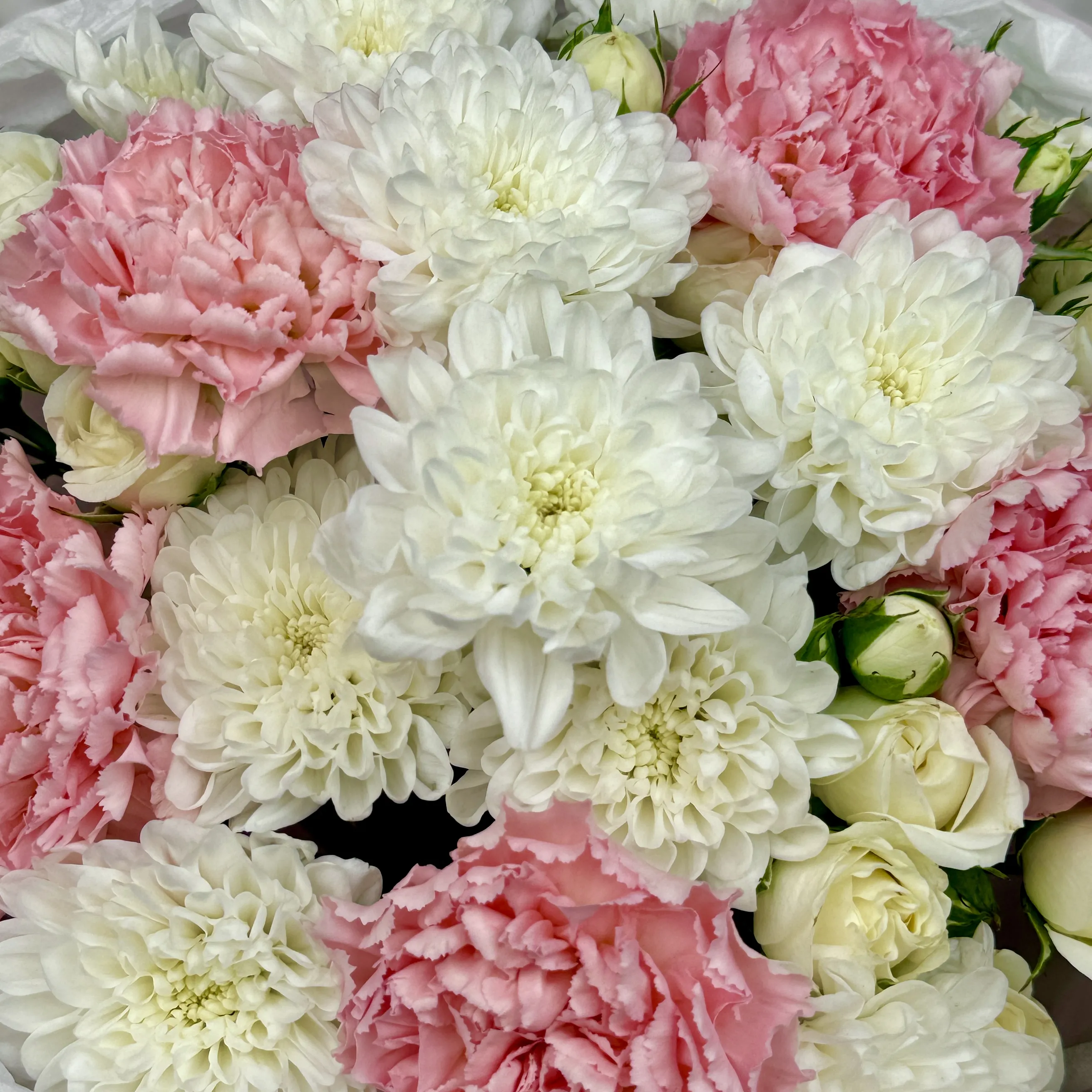 Букет Кремовое чудо Букет Кремовое чудо