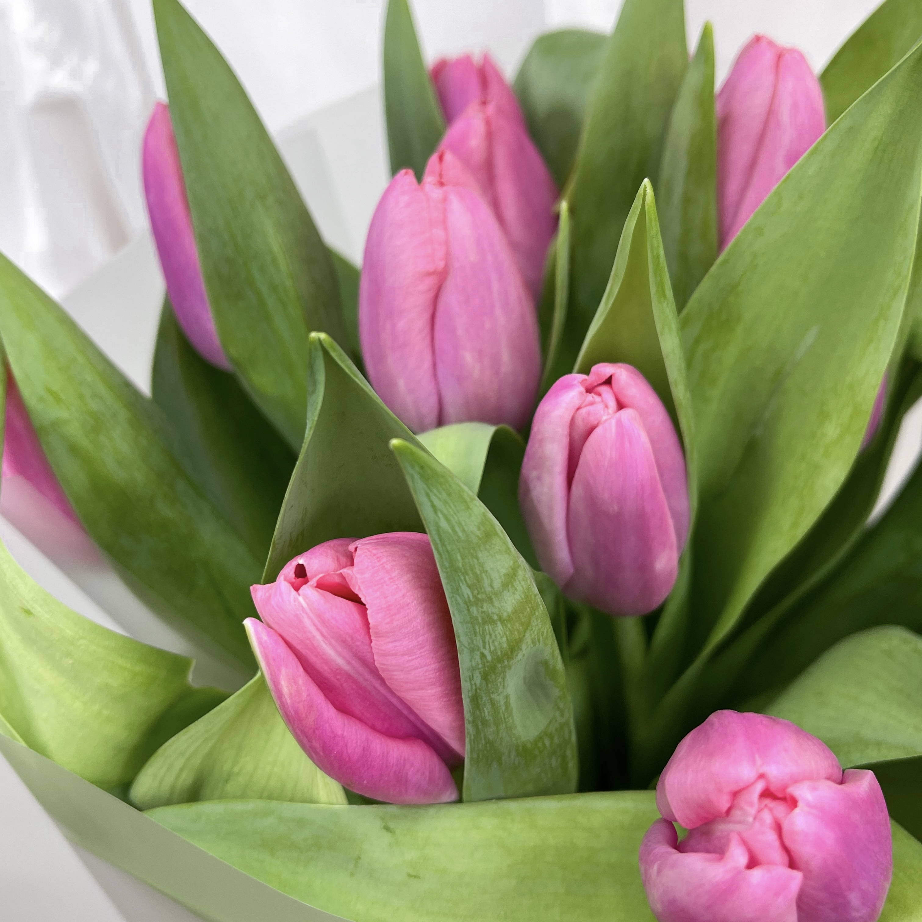 Букет Монобукет из розовых тюльпанов №2