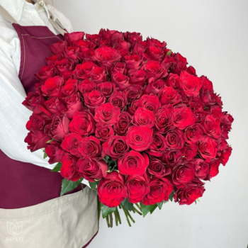 Букет Букет из 101 красной розы под ленту