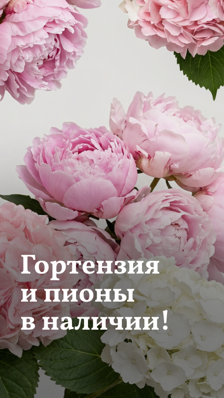 Скидка -20%