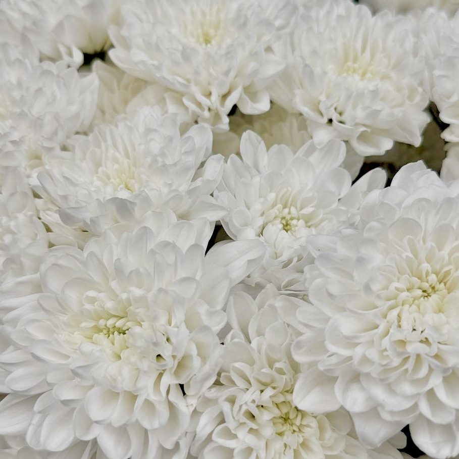 Букет Нежные объятия