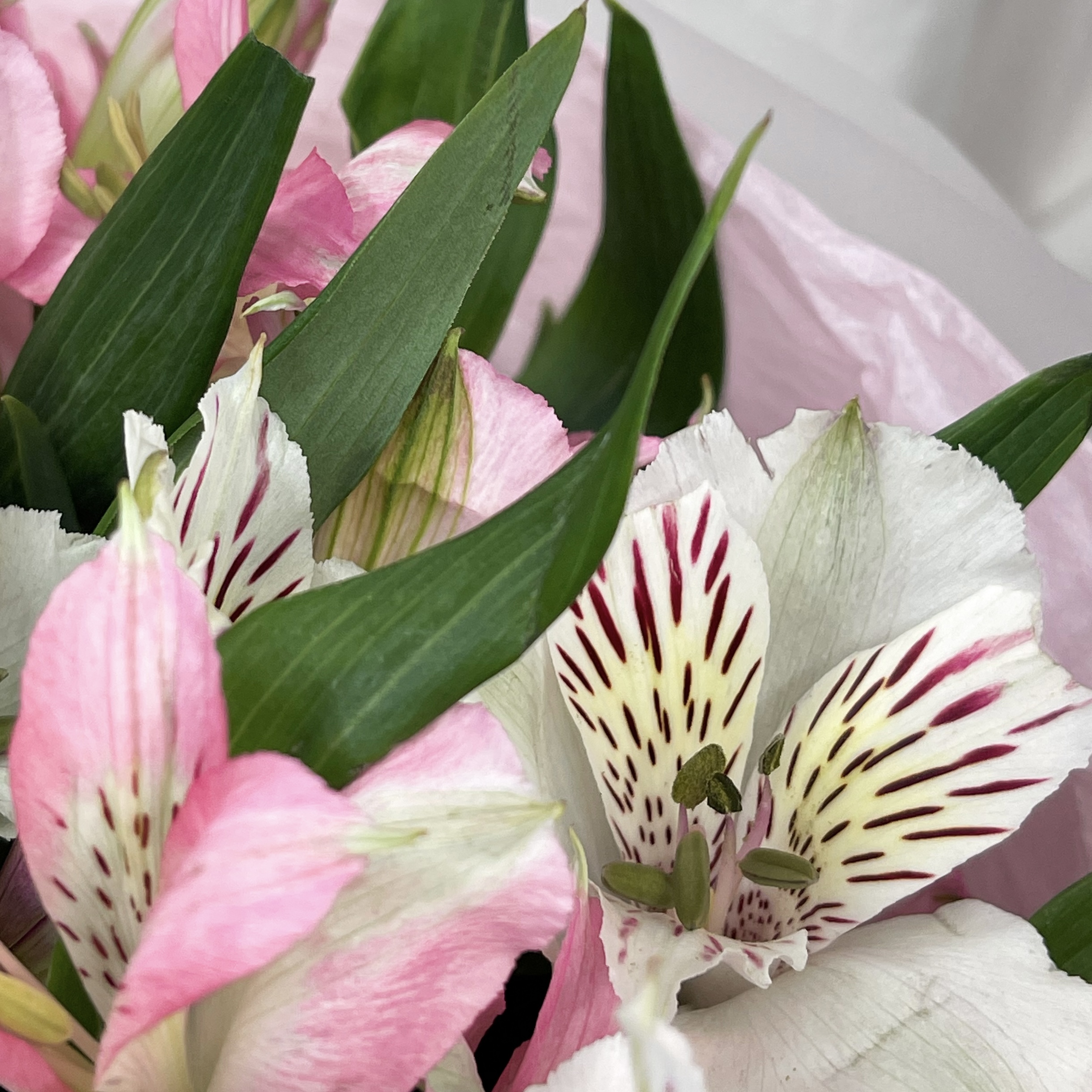 Букет Вестник лета