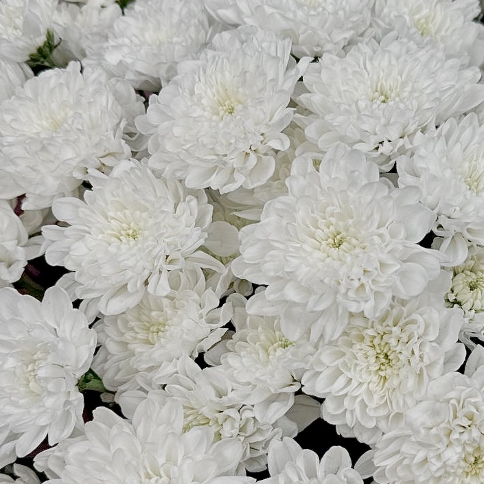 Букет Нежные объятия