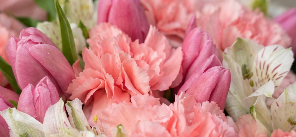 С какими цветами сочетается тюльпан