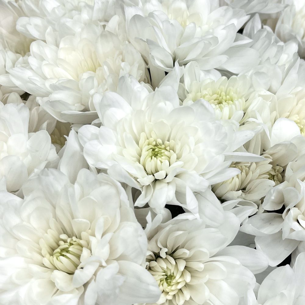 Букет Белый вальс