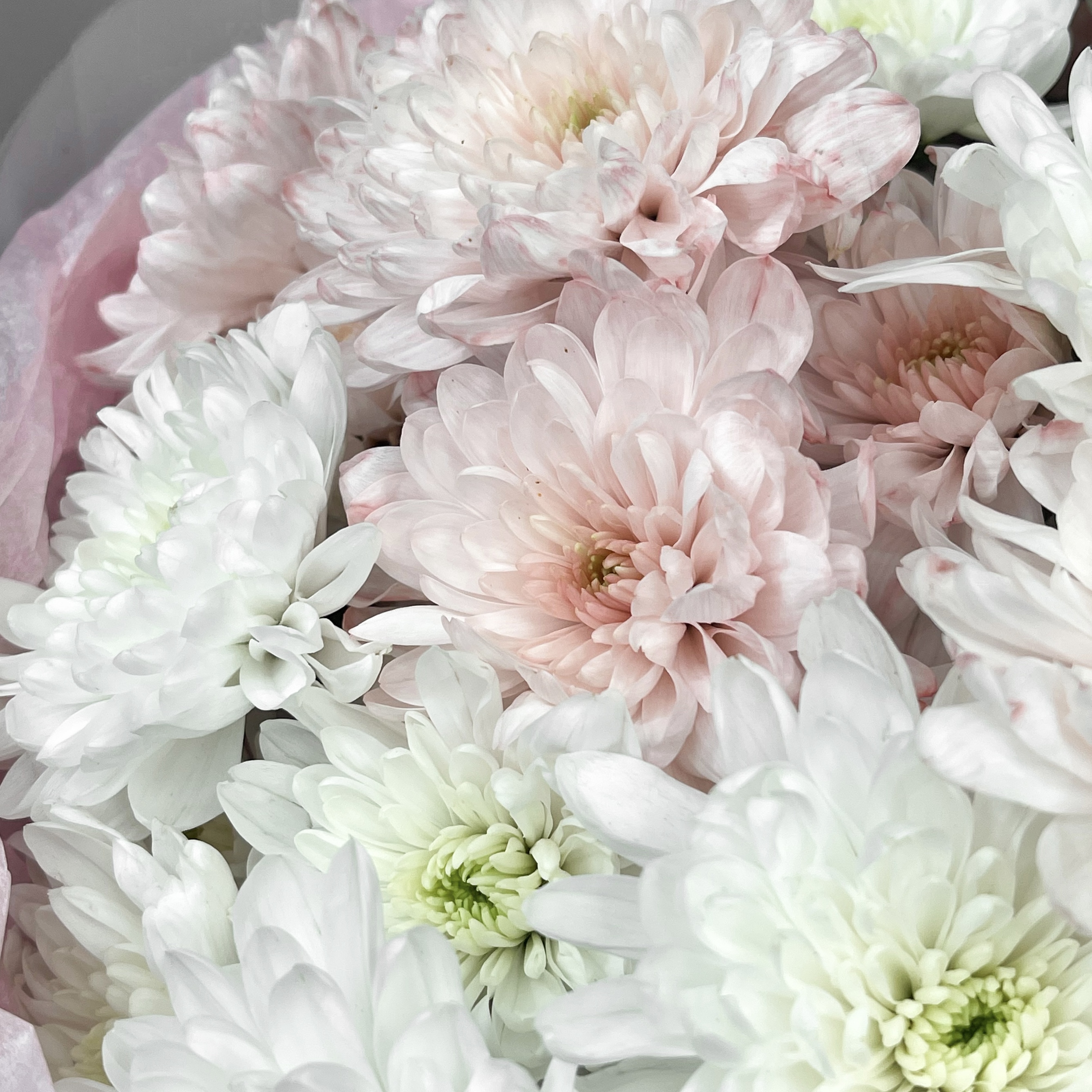 Букет Пудровый сад