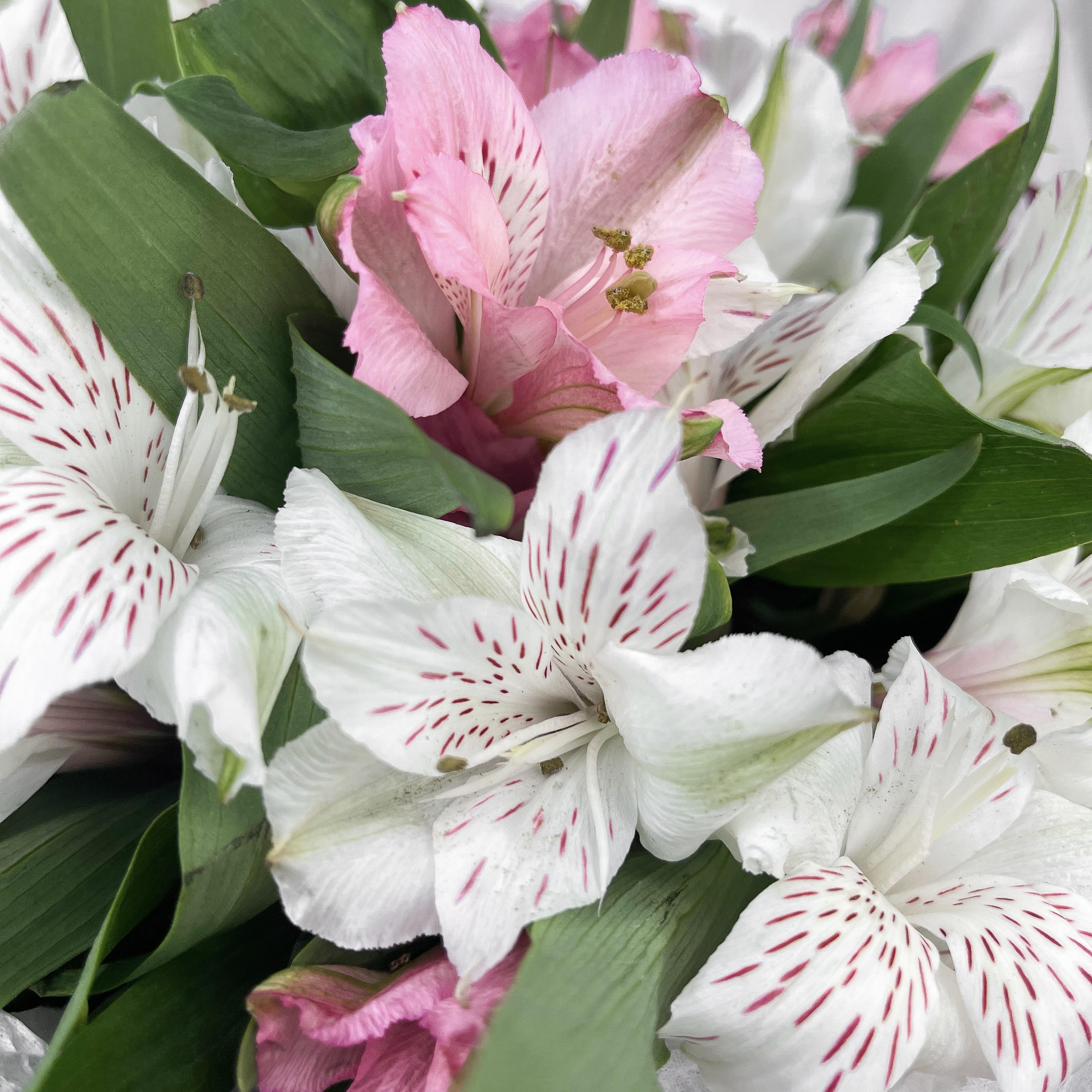 Букет Комбо-набор клубника и цветы "Код: Розовый"