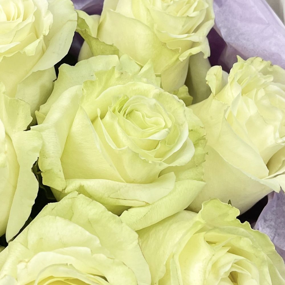 Букет Монобукет из 7 белых роз №2