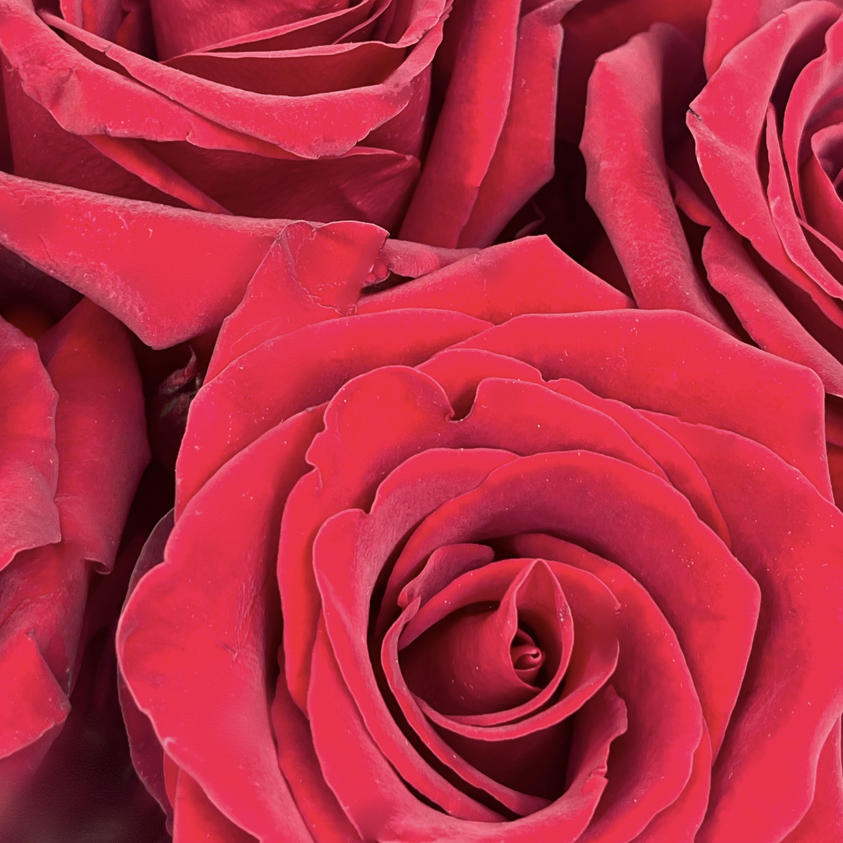 Букет Розовое сердце