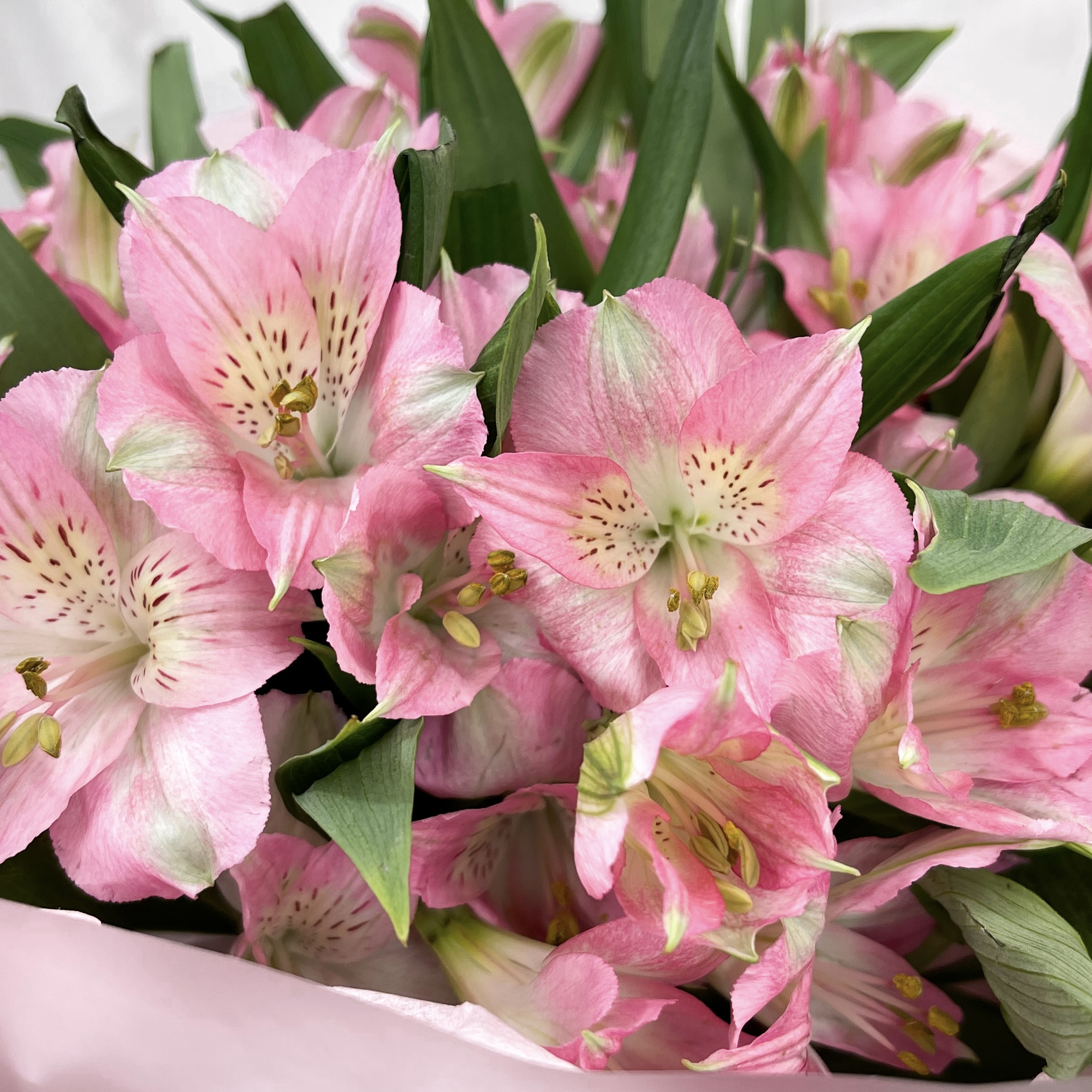 Букет Звонкий смех