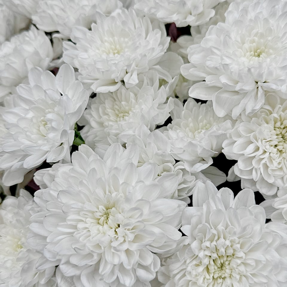 Букет Пудровый штиль