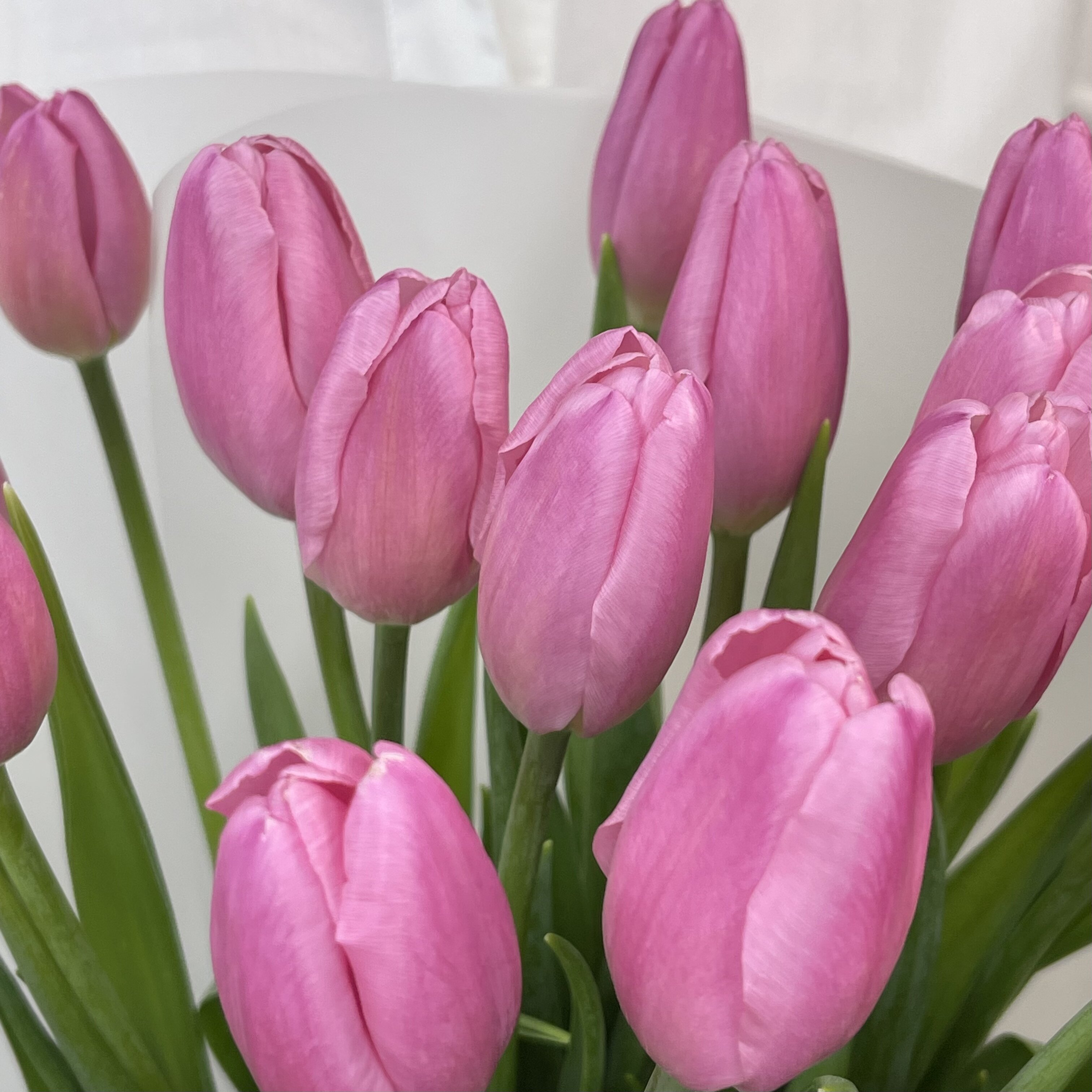 Букет Монобукет из розовых тюльпанов №1