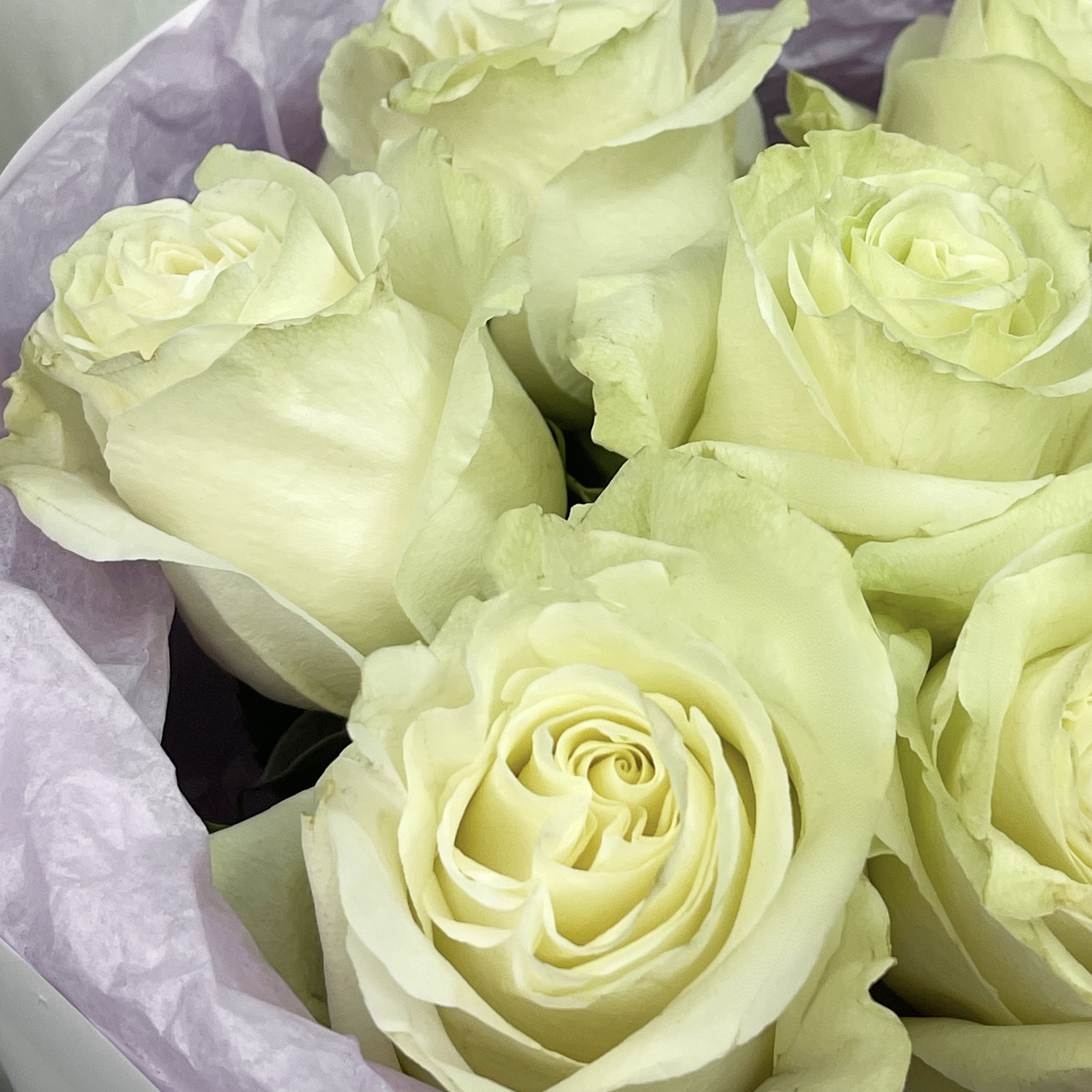 Букет Монобукет из 7 белых роз №2