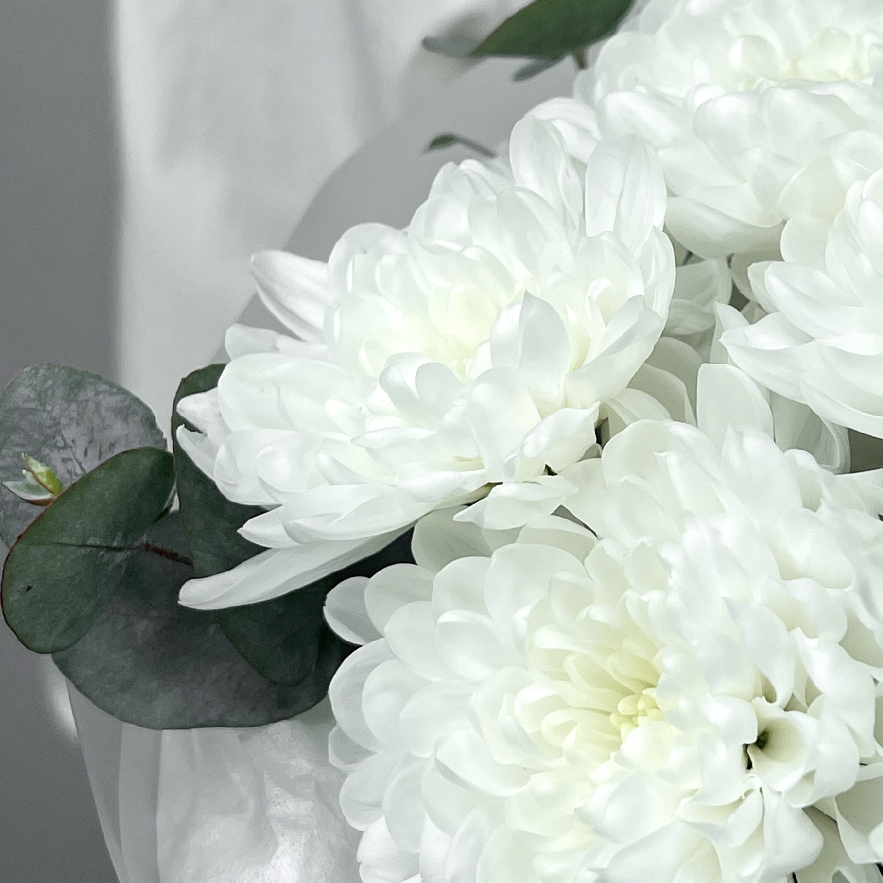 Букет Лунный свет