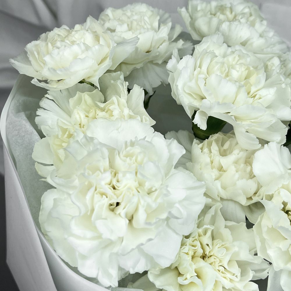 Букет Нежные диантусы