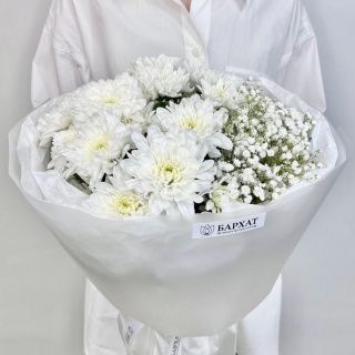 Звездная ночь
