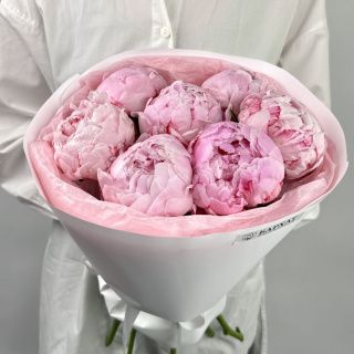 Акция! Зефирная нежность