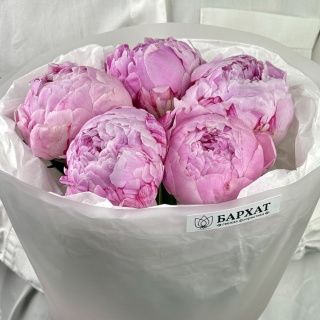 Акция! Розовая жемчужина